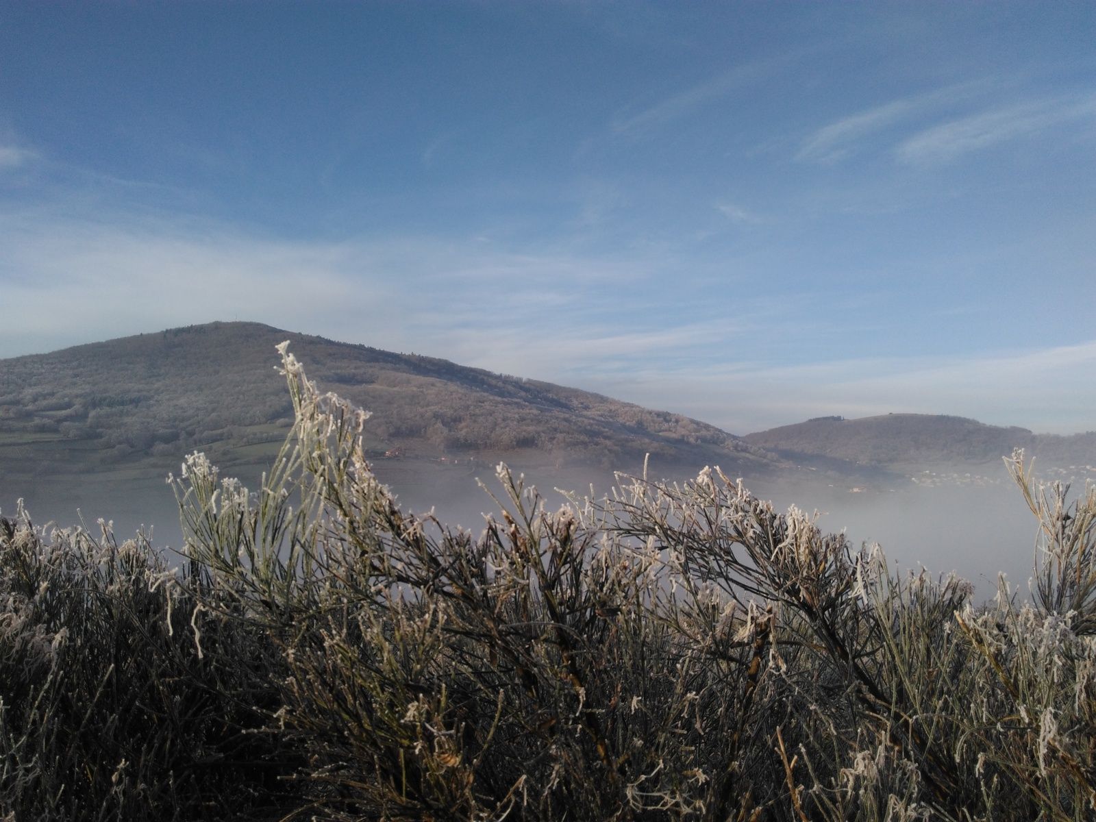 photo paysage d'hiver