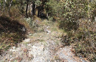 Commune  : Colmars les Alpes Cours d’eau  : Torrent de La Chapelle (TChap)