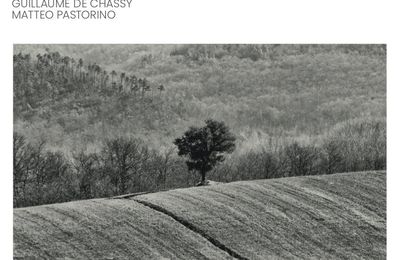 David Linx, Guillaume de Chassy, Matteo Pastorino dévoilent Soul Astray d'après Schubert