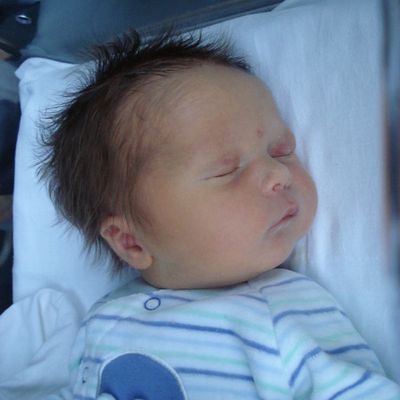 La plus jolie recette au monde