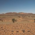 Après Merzouga, direction sud, le paysage change