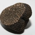 En vl'à une belle truffe