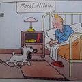 Tintin a un iench à la cool