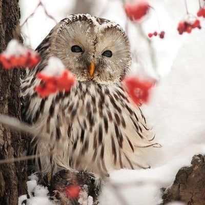 L'hiver...