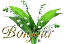 Muguet de mai