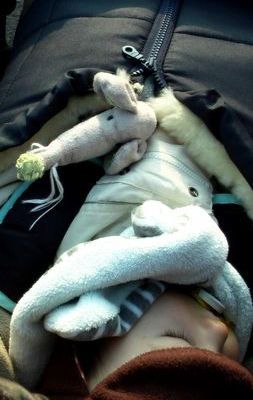 PAGE PERSO DE SUE SOURIS Nom: Sue Souris Surnom: