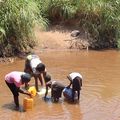 LA LUTTE CONTRE LES MALADIES LIES A L'EAU