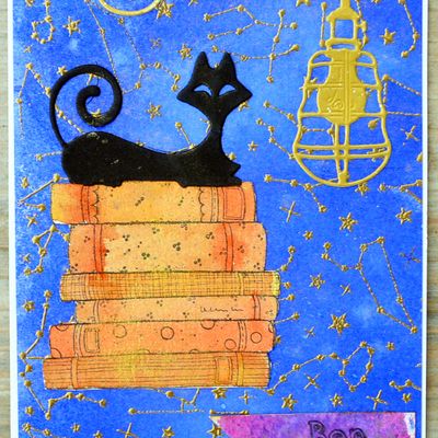 Chat alors !!!