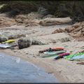 MRS LES PRÉFETS ET MAIRES DE LA CORSE / " PLAGE DYNAMIQUE " !...