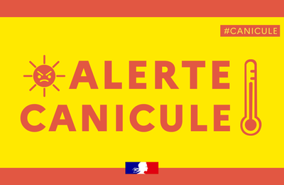  Canicule et fonction publique : quelles mesures pour protéger les agents publics ? 