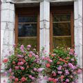 ♥ Belles façades fleuries dans le Vieil Annecy ♥
