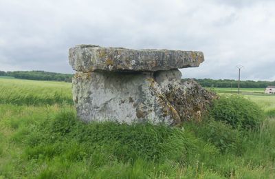 best of patrimoine : le préhistorique 2