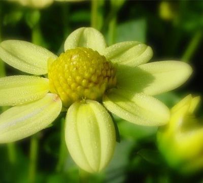 Bidouillage netteté