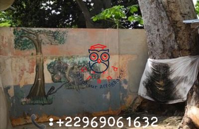 MARABOUT VOYANT DU BENIN