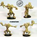 Préview Willy miniatures : Troll