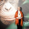 Le message de Jane Goodall, spécialiste mondiale des chimpanzés