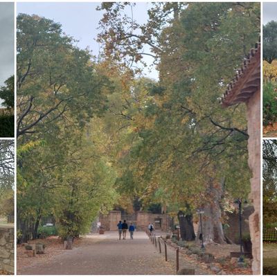 Auberge de l' Abbaye de Valmagne