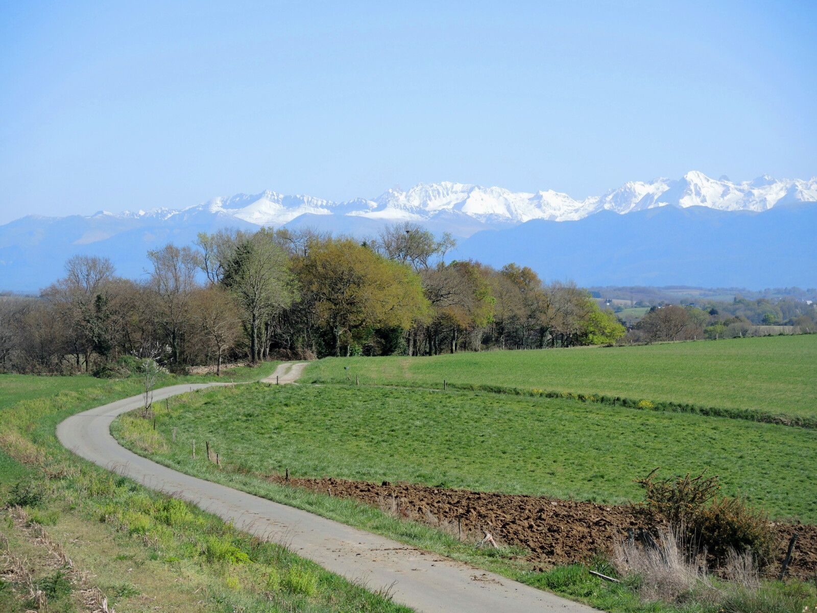Ogenne-Camptort, route et pyrénées enneigées, mars 2025 (64)