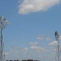 Les Eoliennes du parc de la Gloriette 