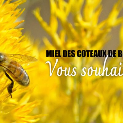 Une belle et bonne année 2025