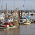 PAUILLAC (Gironde), 8 octobre 2006, 17 h 14