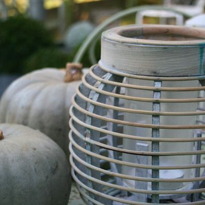  mOn Matin d'AutOmne