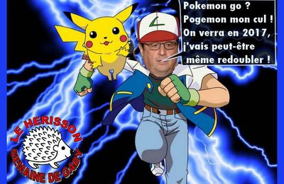 LA CHASSE AU POKEMON EST OUVERTE