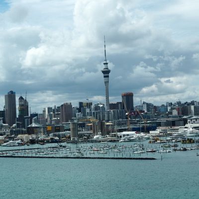 NORTH NEW ZEALAND AUCKLAND city #6