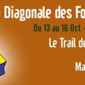 La Diagonale des Fous 2011