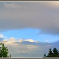  Fin de ma série "petits moments" à ciel ouvert, le nez en l'air et l'air de rien... les semaines défilent 