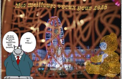 Voeux 2025