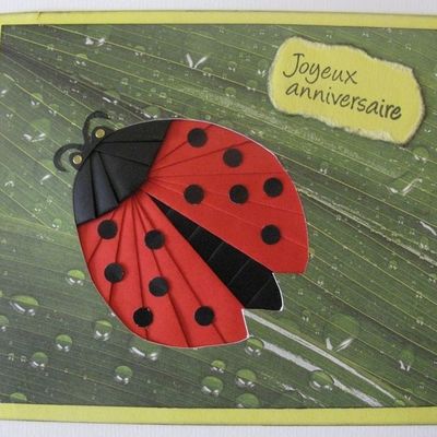 CaRTe CoCCiNeLLe iRiS FoLDiNG