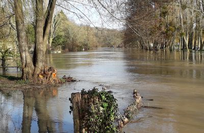 La crue du Loir