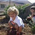 Jardinons à l'école maternelle!