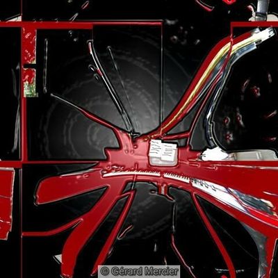 " Concert in Tokyo "  2004