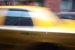 An open Letter To the 5 BOROUGH.