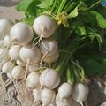 Panier de la rentrée !