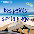 Des pavés sur la plage, édition 2014