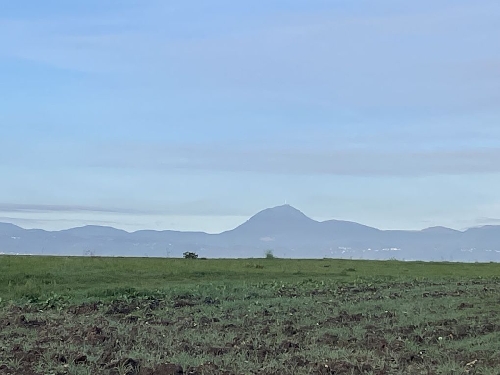Vendredi 03 octobre 2025 sur un des balcons de ma ville  , en date du 29 sept 2025 et le vent était très froid , ça réveille de bon matin ... Je vous laisse contempler mon diaporama 