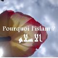 ISLAM : pourquoi l'islam ?