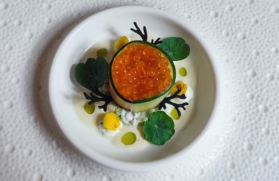 Restaurant l'Herboriste à Castelmoron (47)