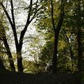 [Drôme] la colline de la Gontarde au printemps