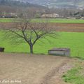 Campagne Ardéchoise