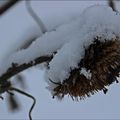 Neerpede sous la neige.