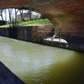 En longeant le canal du Midi à Toulouse le 10 avril 2016 (5)