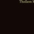 Thollem McDonas, Nicola Guazzaloca : Noble Art (Amirani, 2009)
