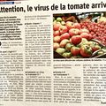 Virus de la tomate