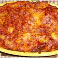 Lasagnes de légumes