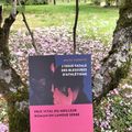L'issue fatale des blessures d'athlétisme Milica Vuckovic traduit du serbe par Chloé Billon Éditions Bleu et Jaune