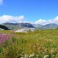 La Grande Sassière et le Lac, Tignes, Alpes, France